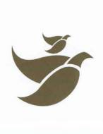 Chantal Boisvert - 1968 - 2025