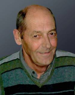 Bellemare, Daniel